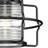 Herminda Outdoor Hanging Lantern