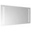 Rectangle Makeup / Shaving Mirror