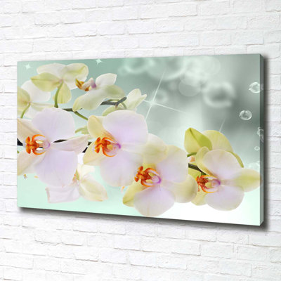 White Orchid - No Frame Print on Canvas