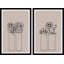 Diptyque transparent-144790055
