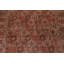 Tapis Garden Design 7 x 10