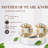 Allura 1.41" Diameter Mushroom Knob Multipack
