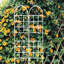 1Set (2Pcs) Treillis de jardin en métal pour plantes grimpantes d'extérieur-1552729332
