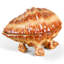 Porcelain Small Shell Box