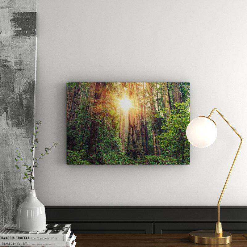 Sinus Art - No Frame Print on Canvas, 120cm L x 40cm W, Wrapped Canvas