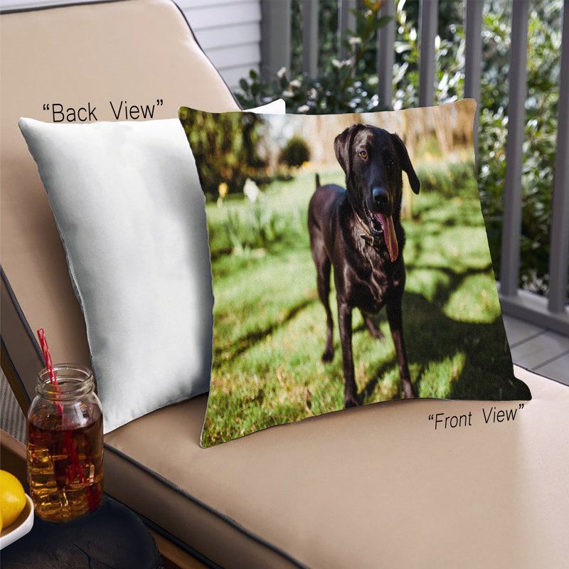 Coussin Dogs Dogs 51, Synthétique