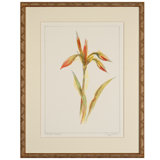 Tropic Colors Print by Daughdrill
