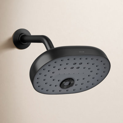 Statement Oval Multifunction Showerhead