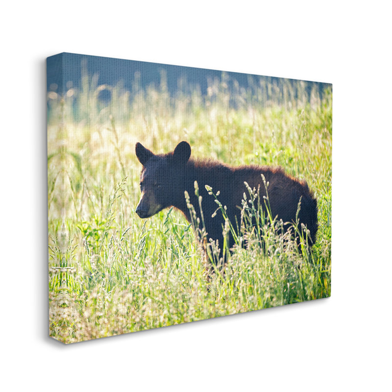 «Baby Bear Tall Grassland Floater» par Rick Berk, H 36 po x l 48 po x P 1,5 po, Toile tendue