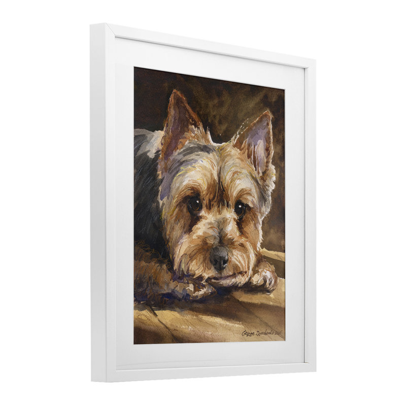 Yorkshire Terrier, reproduction sous verre encadrée, conception de George Dyachenko, H 16 po x l 13 po