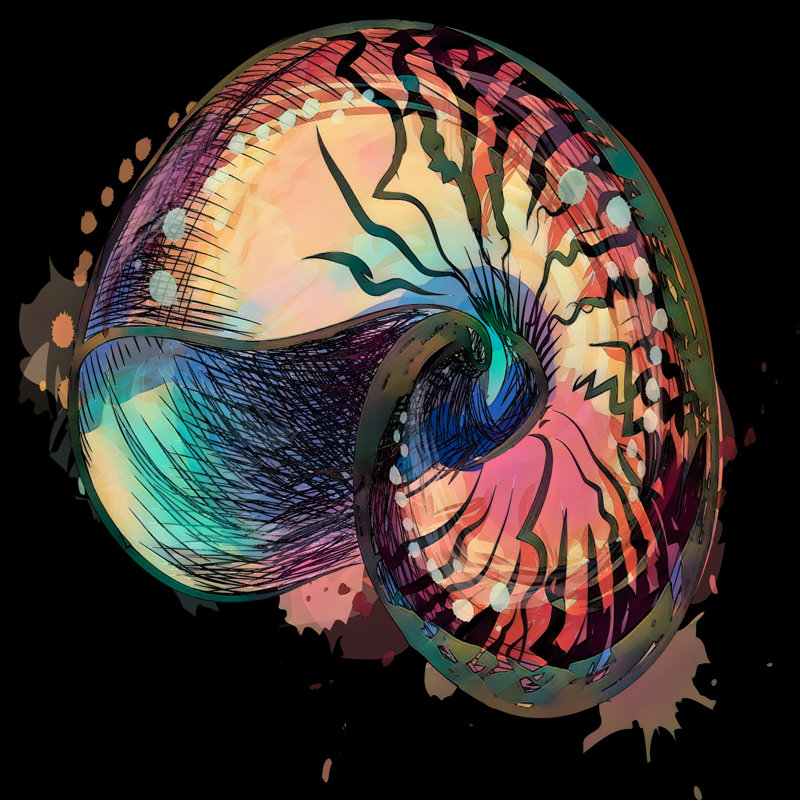 " Boho Nautilus Shell 248 ", 16" H x 16" W x 1.5" D