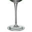Tropical Leaves Wine Glasses
