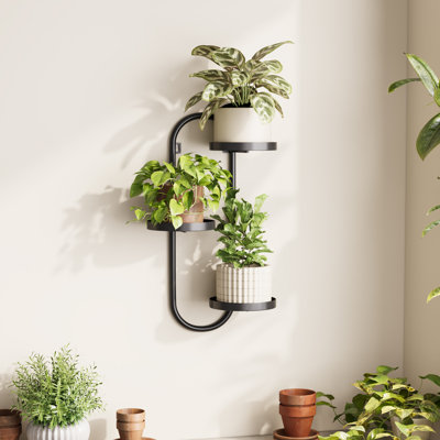 Latitude Run Window Plant Shelves Indoor Wall Planters for Plants Outdoor  Metal Plant Hanger Wall Plant Holder for Living Room Balcony Wall Decor  Black & Reviews | Wayfair
