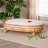 Heavenor Fabric/Foam Pet Sofa