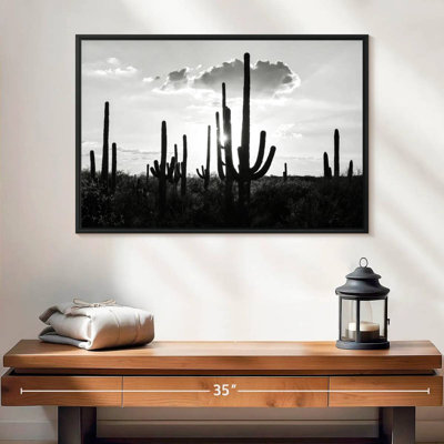 Arizona noir - Silhouettes de cactus