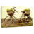 Rickety Bicycle