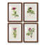 Pretty Pink Botanicals II - ensemble de 4 reproductions de cadres photo-1342891407-1342891445