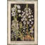 Black Background Botanicals Print