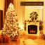 Andonia 10000cm LED Indoor / Outdoor String Lights