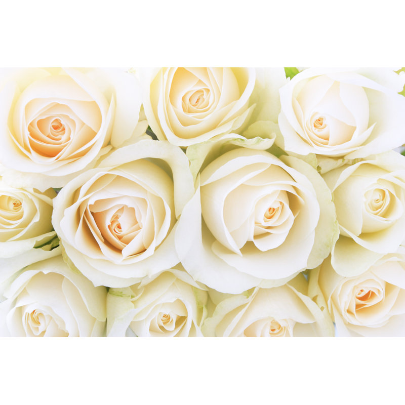 Roses 4 - Wrapped Canvas Print, 51cm H x 76cm W x 3.8cm D
