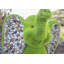 Copan Animals Weather Resistant UV Resistant Plastic Garden Statue