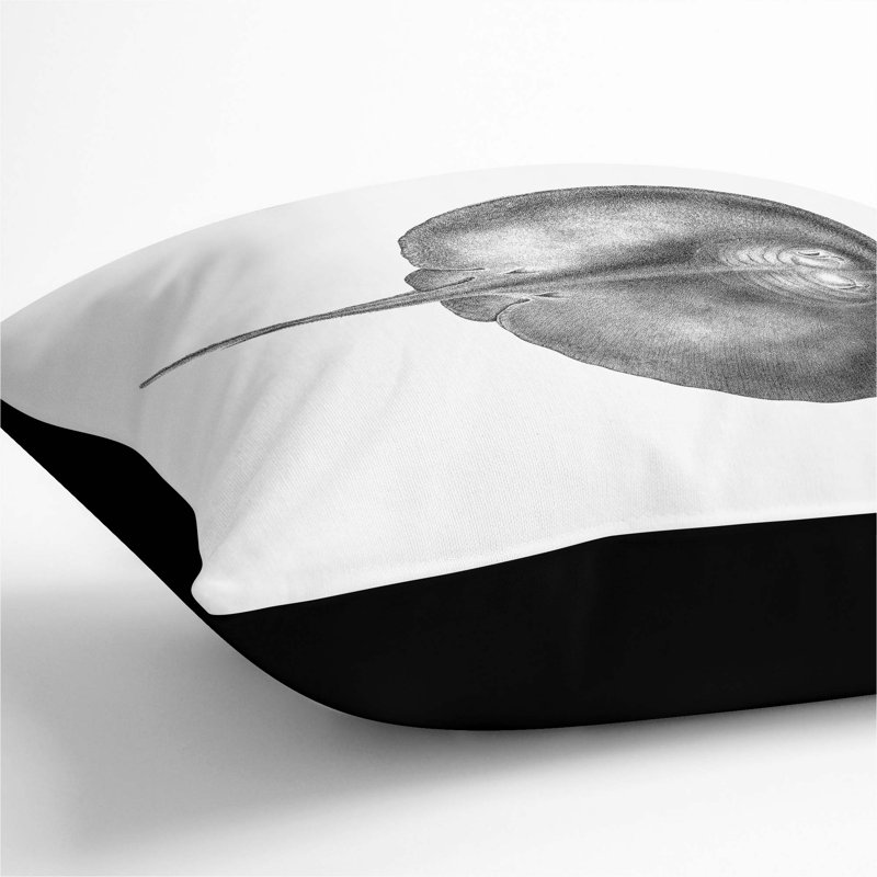 Square Cushion, Black, 55cm H x 55cm W x 20cm D