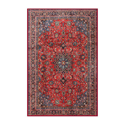 Asiyah Oriental Indoor Rug