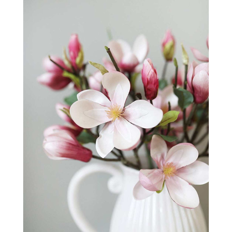 Tige de magnolia rose 20 po