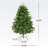 4.5 'Hinged Tree