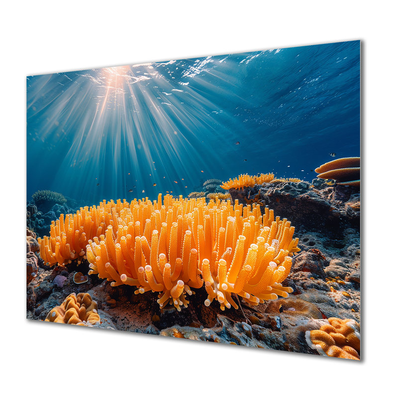 Richerson - impression d'art mural corail sous l'eau, H 24 po x l 32 po, Sans cadre