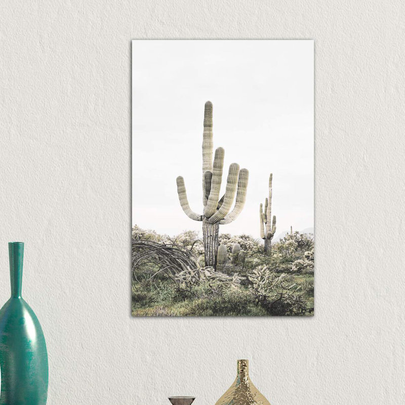 « rosé timide cactus », photographie, H 12 po x l 8 po x P 0,75 po, Toile tendue