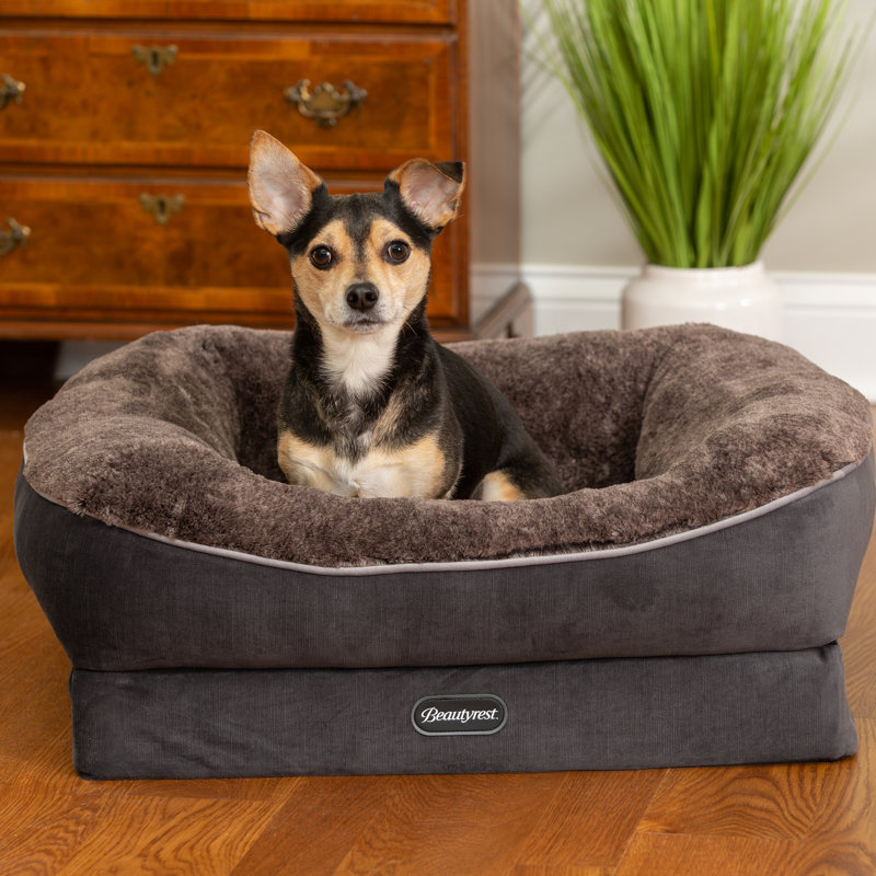 Lit pour animal de compagnie Beautyrest, Moyen (l 32 po x P 27,5 po x H 11 po), Gris