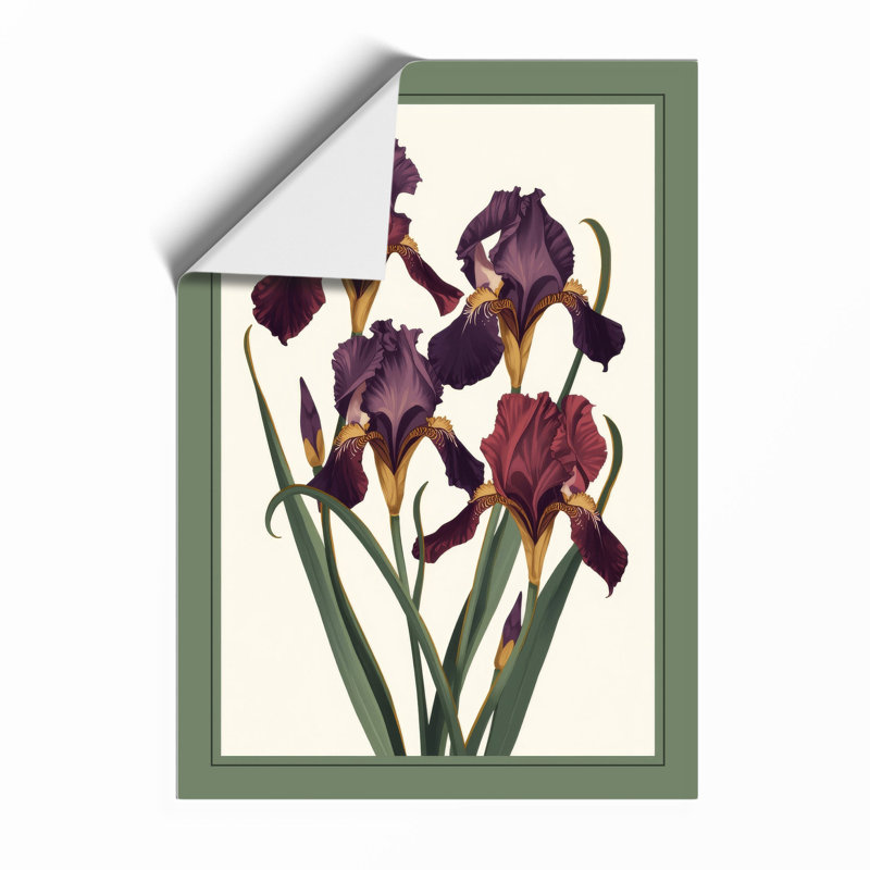 Purple Iris Study Botanical - Framed Print, Unframed, A3 - 42.0 x 29.7 cm