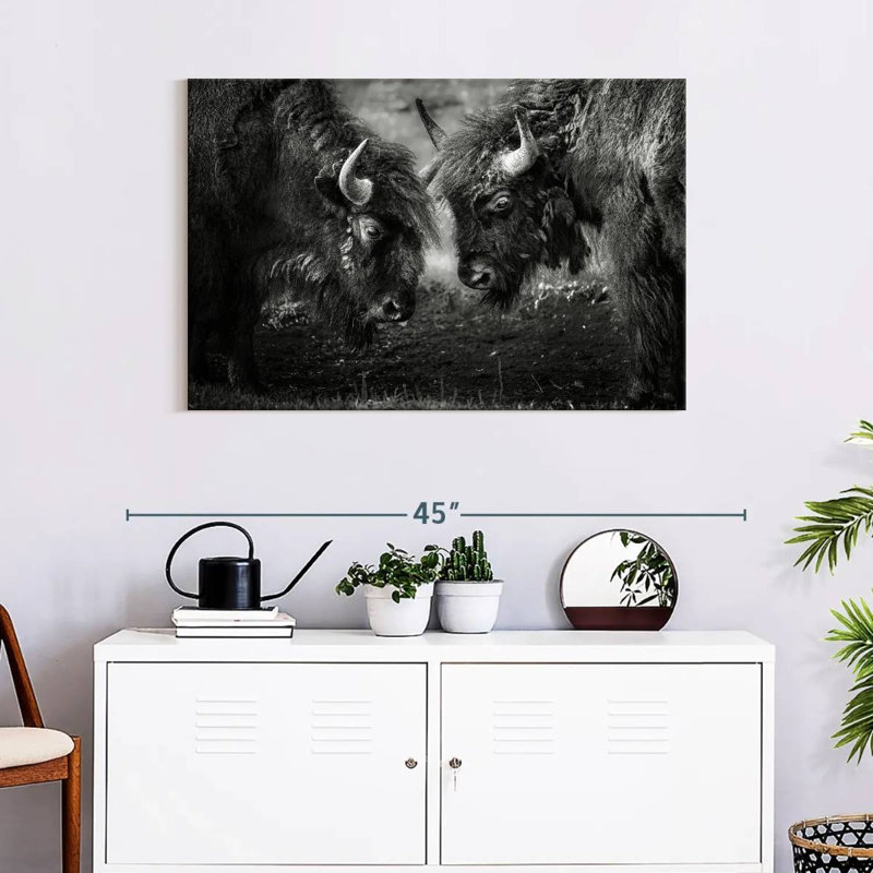 Brampt Bisons Head To Head, 24" H x 36" W