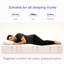 Alwyn Home Foam Mattress-125897494