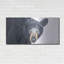 «Black Bear» par Diane Fifer-1714350543
