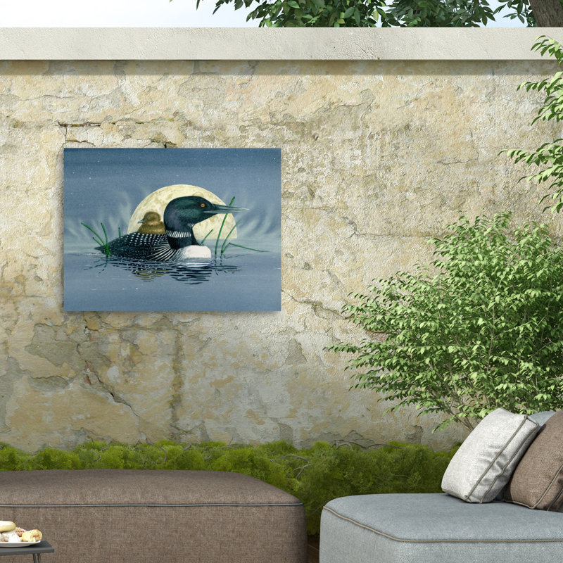 Toile d'extérieur Dave Bartholet Loon Moon, H 14 po x l 19 po