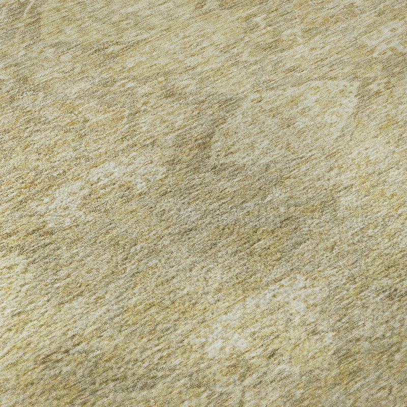 Premium Machine Washable Jamestown AMF1084 Damask Rug, Rectangle 9' x 12'