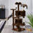 Multilevel  Cat Tree-1185953900