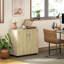 Storage Cabinet