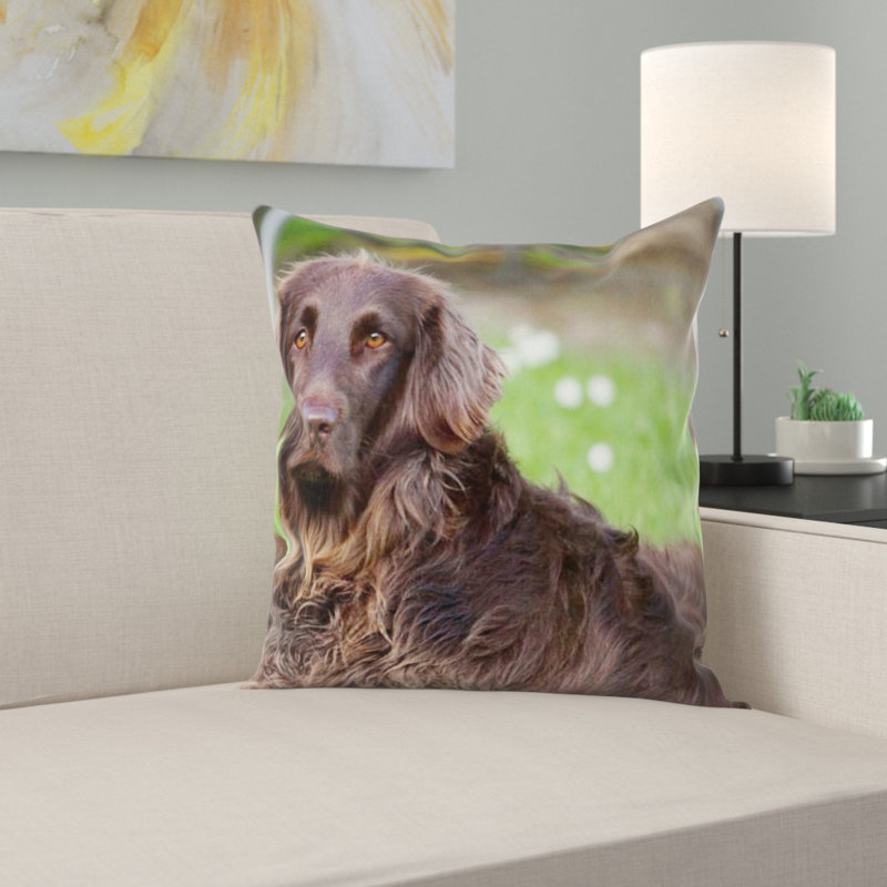 Coussin pour chien