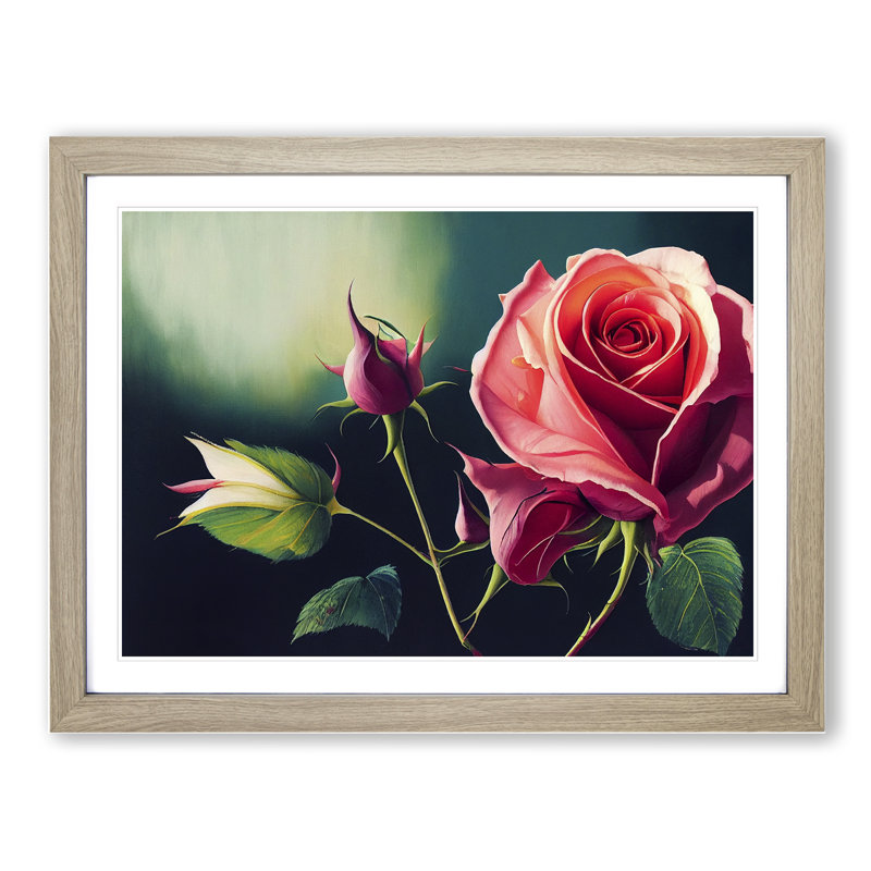 Splendid Rose Flowers - Framed Print, 25cm H x 34cm W x 2cm D, Oak