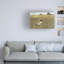 Mid-Century-31355158
