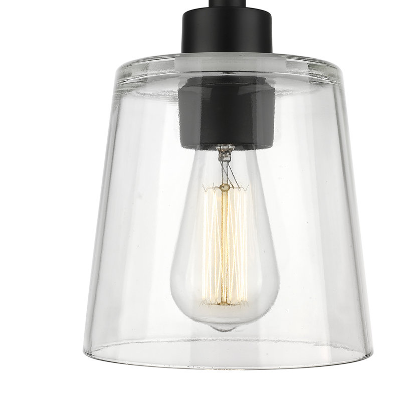 Luminaire suspendu à 1 lumière Jerzie, Noir mat