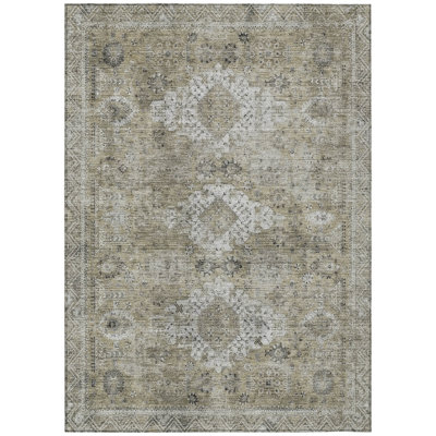 Machine Washable Indoor/Outdoor Chantille ACN2809 Global Rug