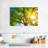 Harnek Oak Tree Foliage-107489333