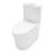 Dual-Flush One-Piece Toilet CEC & DOE Certified Powerful Flush One-Piece White Toilet (Slow Close Seat Included)