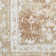 Bungalow Rose Newfields Machine Washable Rust Multicolor Vintage Indoor Rug