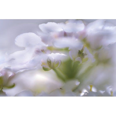 Mist Of Lilac I by Gillian Hunt - Wrapped Canvas Print