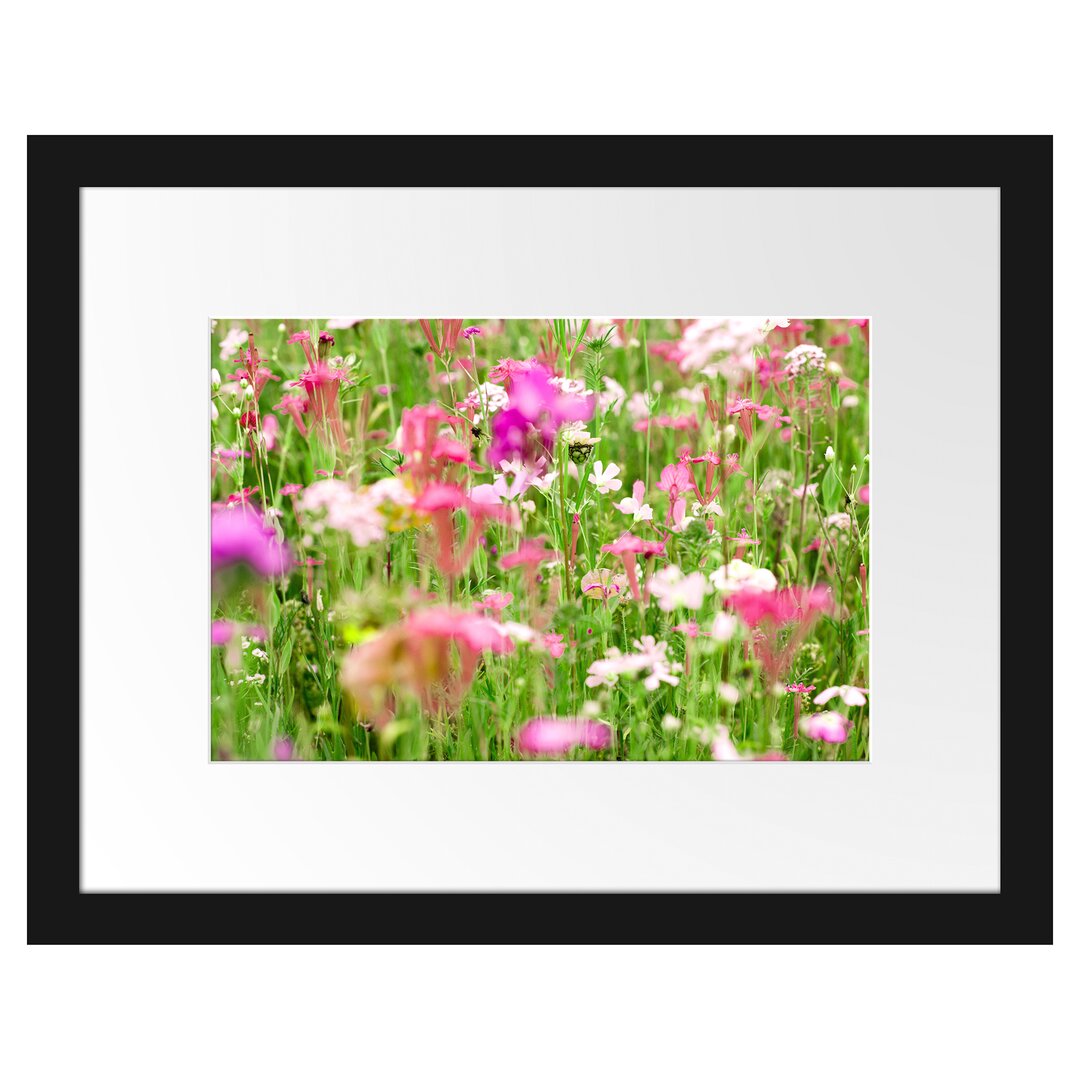 Gerahmtes Poster Wundervolle Blumenwiese